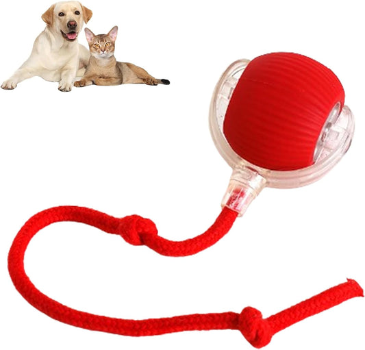Interactive rolling ball for pets