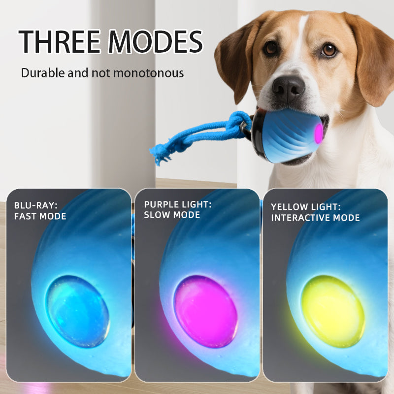 Amazing interactive dog ball