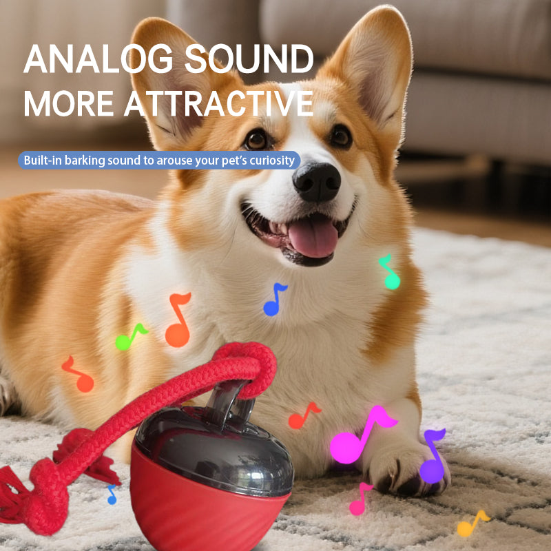 Amazing interactive dog ball