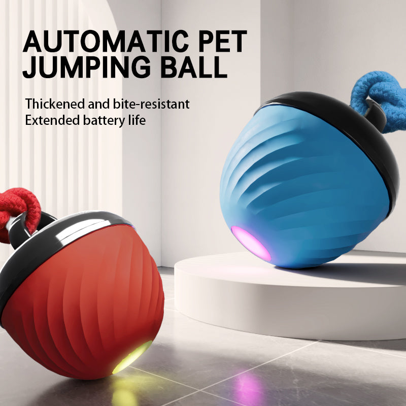 Amazing interactive dog ball