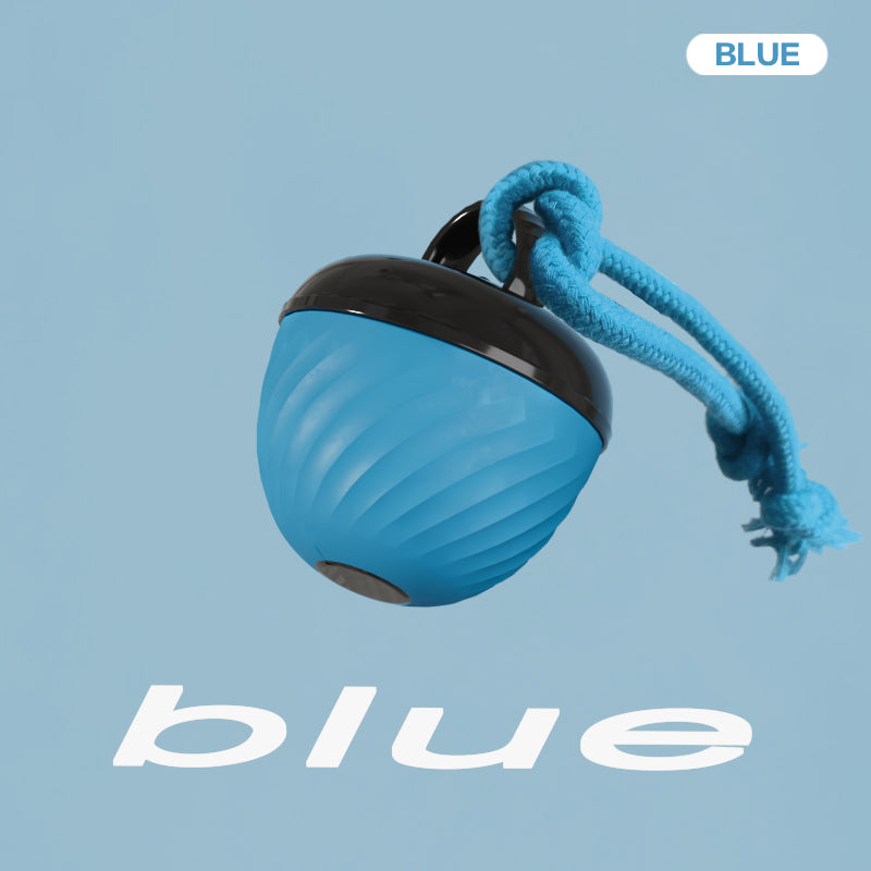 Amazing interactive dog ball