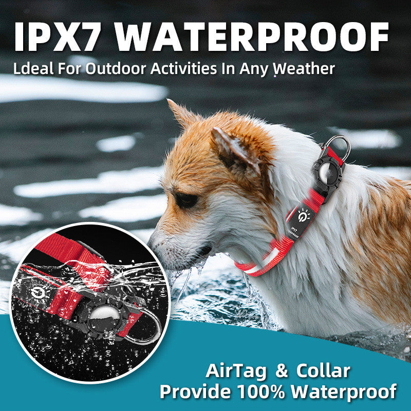 Waterproof collar for dogs-Light up and tag compatible
