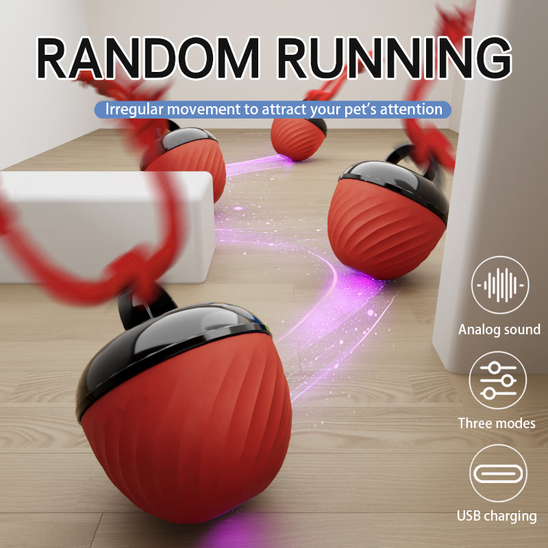 Amazing interactive dog ball