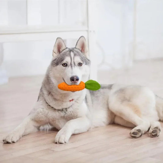 Carrot dog chew toy