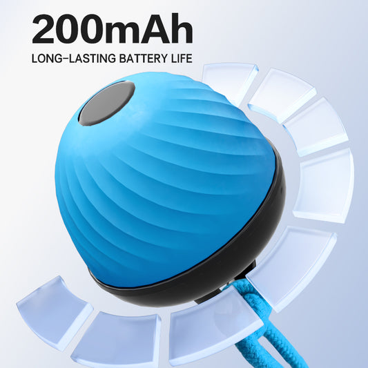 Amazing interactive dog ball